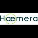 Haemera